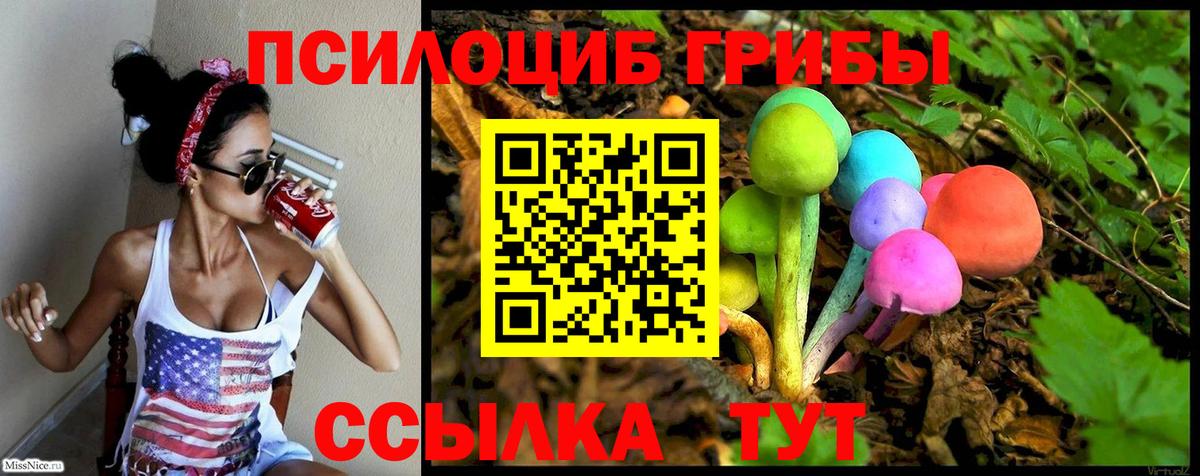 Галлюциногенные грибы MAGIC MUSHROOMS Лосино-Петровский