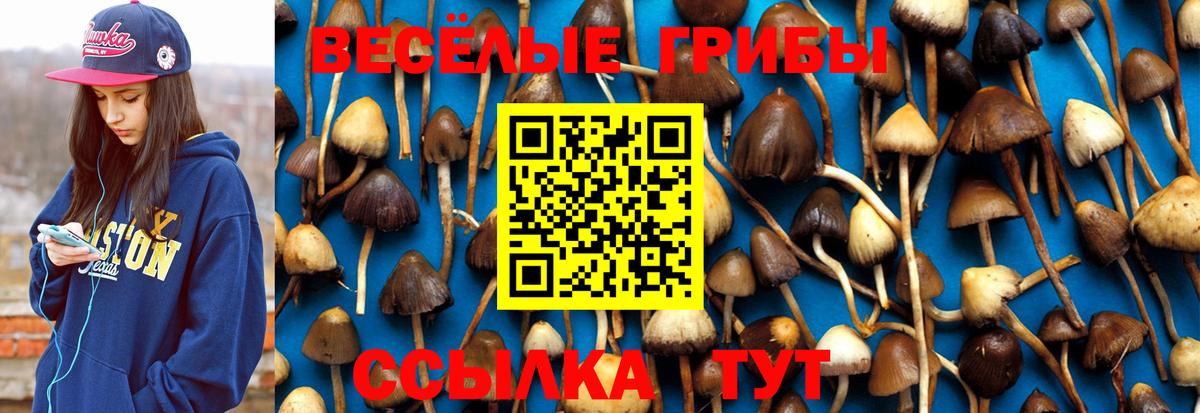 Галлюциногенные грибы мухоморы  сколько стоит  Псилоцибиновые грибы Cubensis  Лосино-Петровский  Вход с VPN 